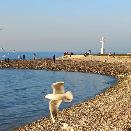 Idila Σπίτι διακοπών Izola